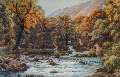 Watersmeet, Lynmouth von Alfred Robert Quinton